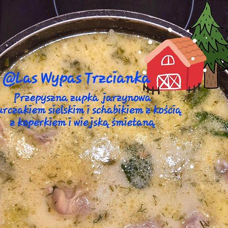 Noclegi "Las Wypas" Trzcianka Esterno foto